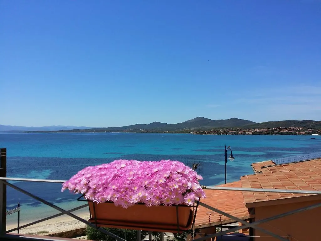 Hotel Tabby Golfo Aranci Ιταλία