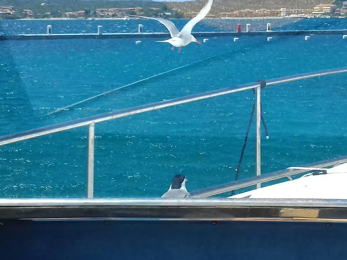 Hotel Tabby Golfo Aranci
